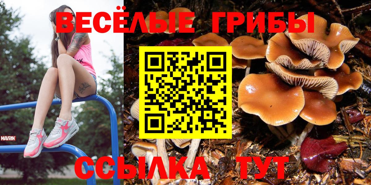 Биробиджан  Псилоцибиновые грибы прущие грибы  Вход с VPN  Псилоцибиновые грибы ЛСД 