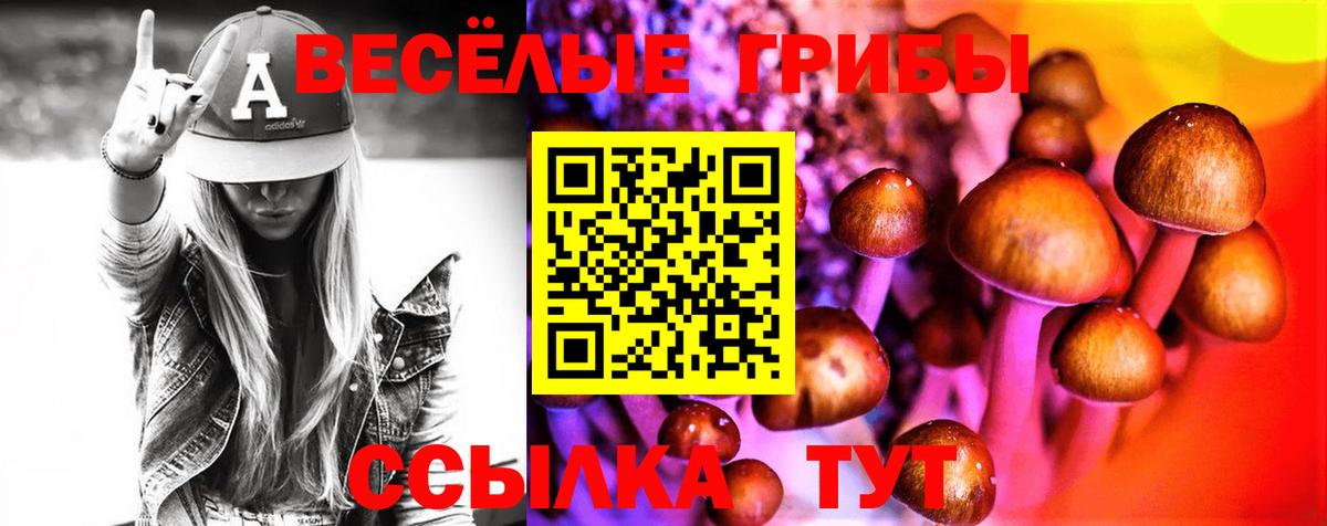 Галлюциногенные грибы мухоморы Биробиджан